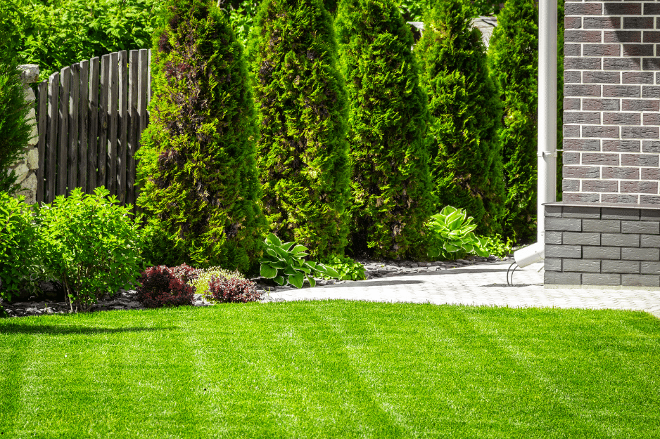 artificial grass Toronto